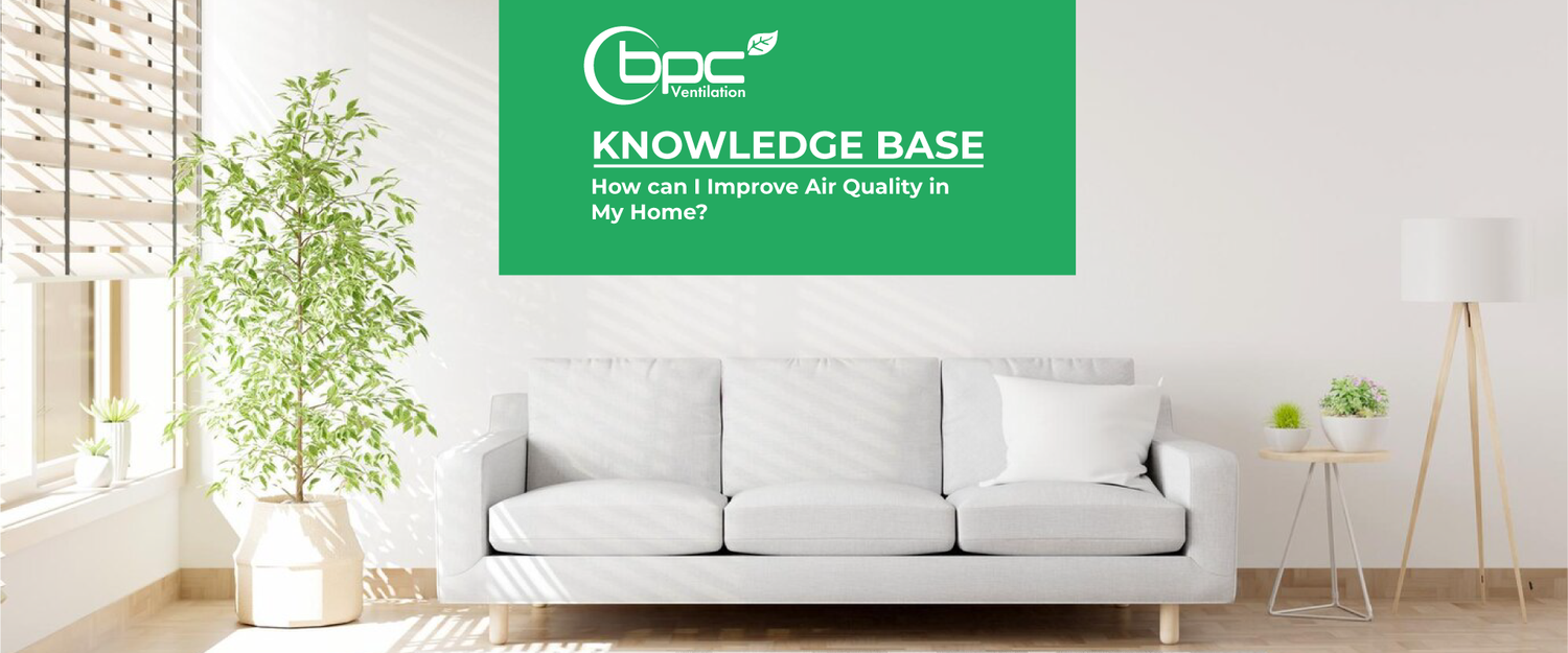 Curated visual reference: Apartment Makeover For Improved Air Quality Reference: How Can I Improve Air Quality In My Home