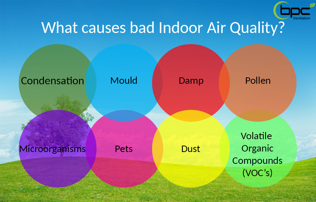 what-is-the-importance-of-indoor-air-quality-in-educational-buildings